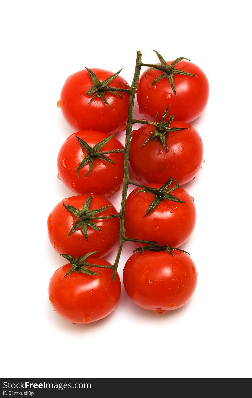 Fresh tomatoes