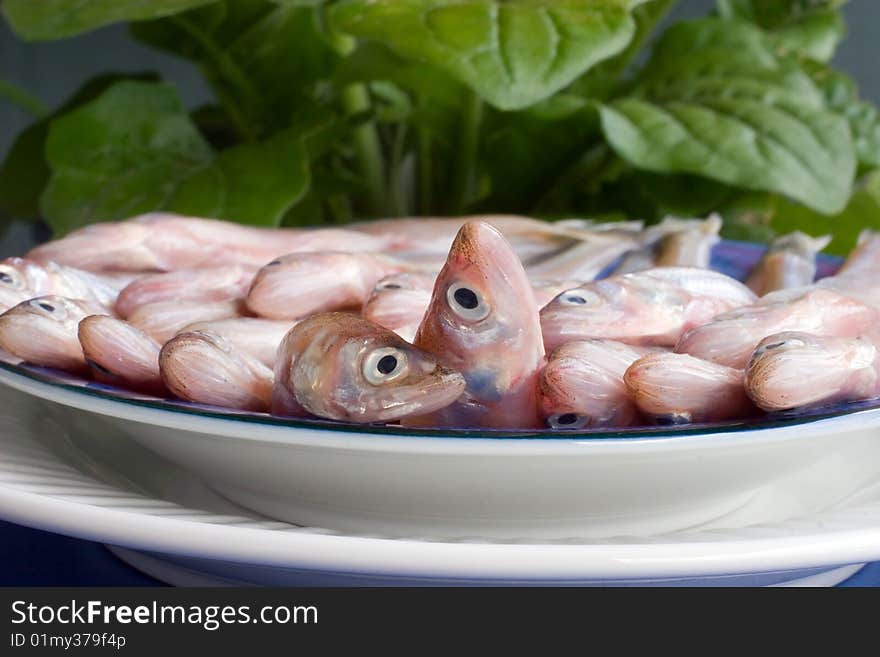 Fresh raw smelt laid out on a dish