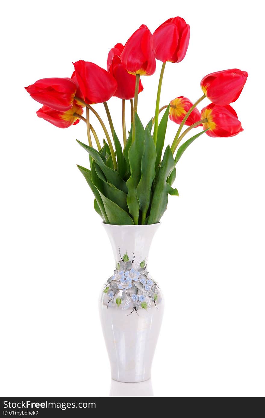 Bouquet of the fresh tulips isolated on white