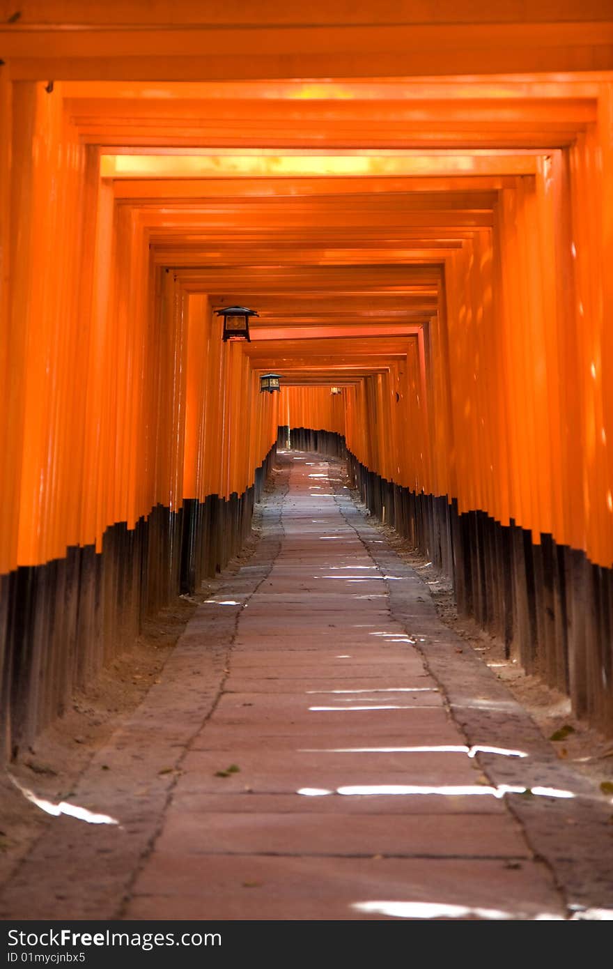 Torii gates at the Fushimi Inari Shrine at Kyoto, Japan