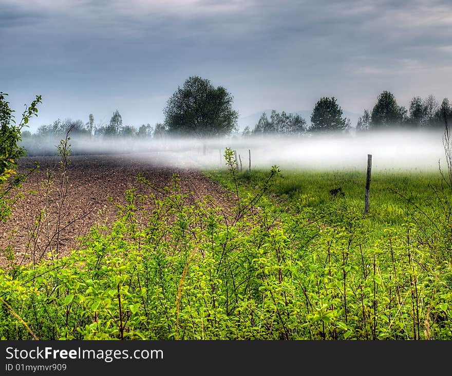 Fogginess in the field