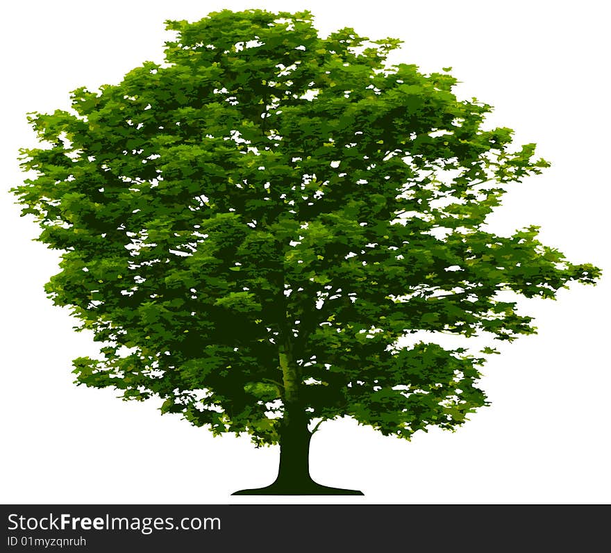 Tree - This image is a vector illustration and can be scaled to any size without loss of resolution