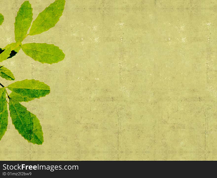 Background image with earthy texture