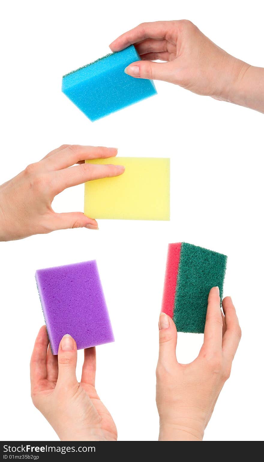 Set of female hands with kitchen sponges