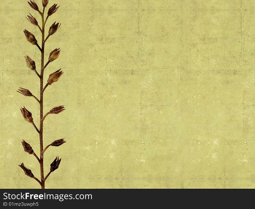 Background image with earthy texture