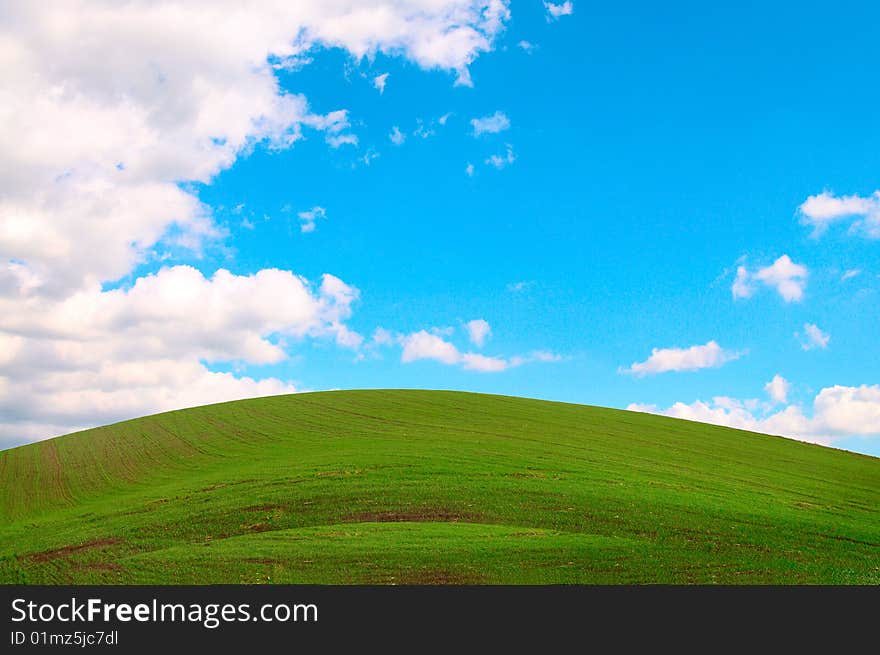 Wonderful green grass, the blue sky and white clouds. Wonderful green grass, the blue sky and white clouds.