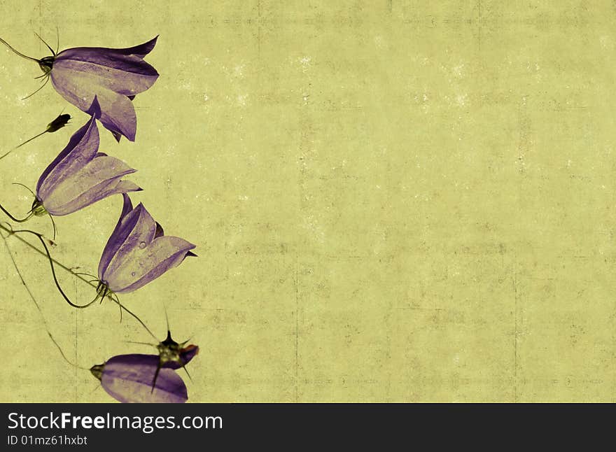 Lovely background image with floral elements. very useful design element. Lovely background image with floral elements. very useful design element.