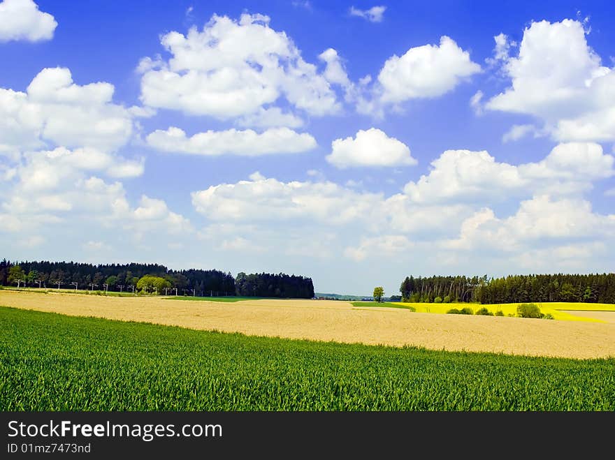 Countryside View