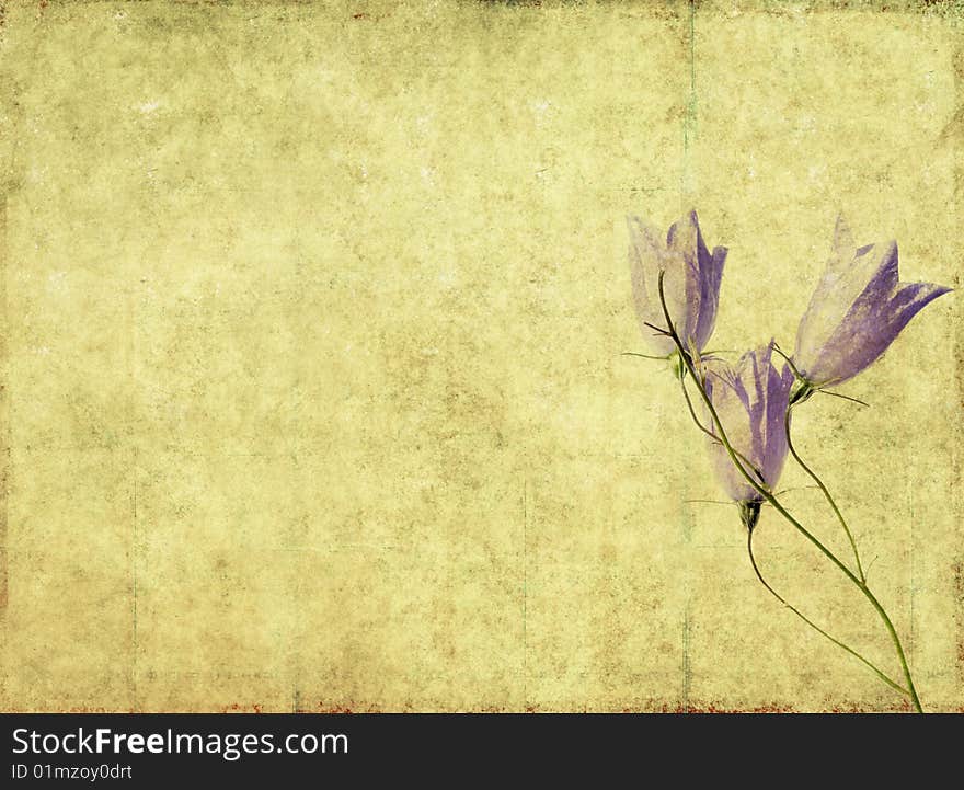 Background image with floral elements