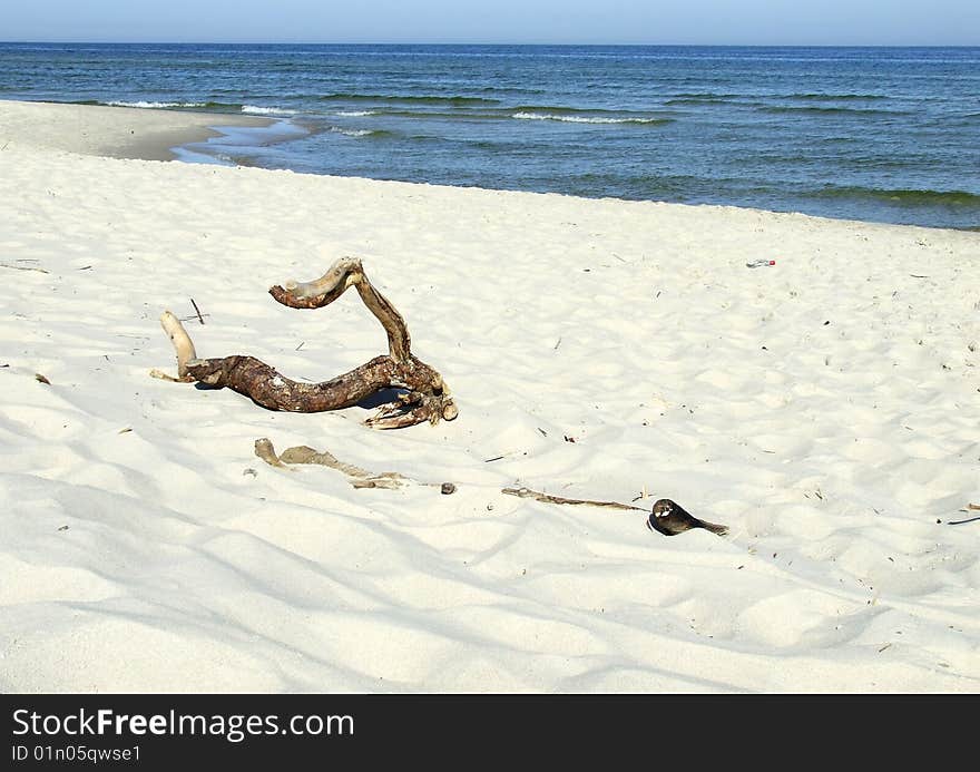 Beach And Sea