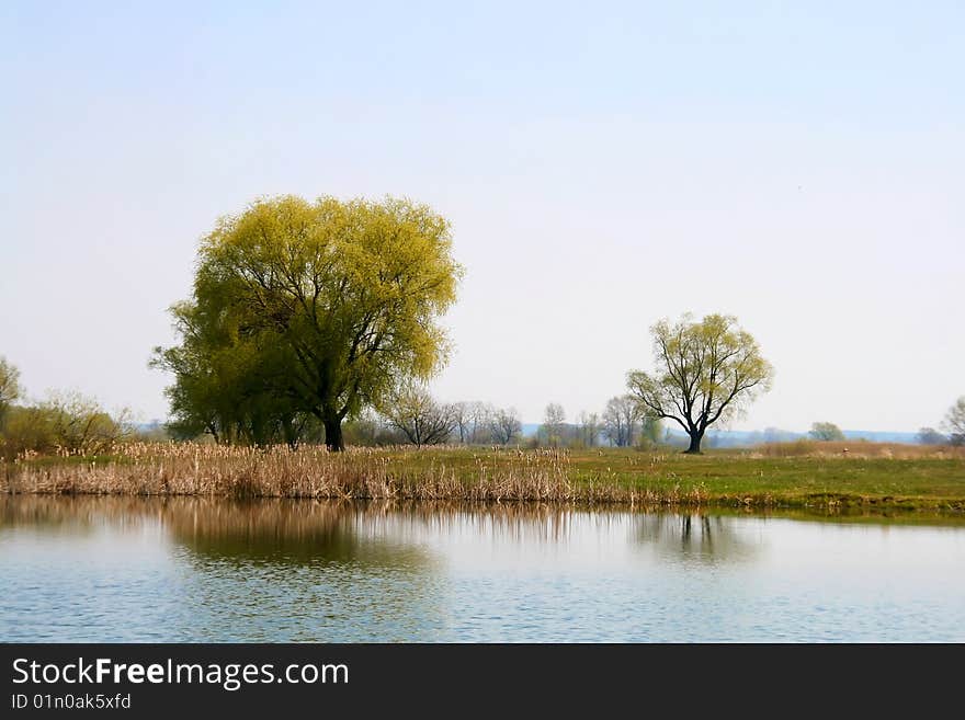 A lake with tree on its other bank with green grass and blue sky. A lake with tree on its other bank with green grass and blue sky