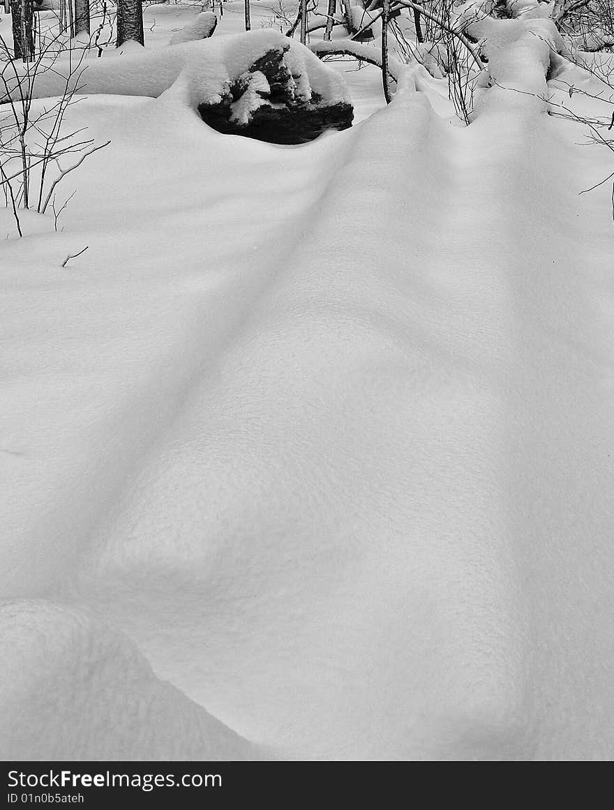 Tree logs on the forest bed completely covered in snow after a heavy snow storm.
Location: Devon Woods, Windsor, ON. Tree logs on the forest bed completely covered in snow after a heavy snow storm.
Location: Devon Woods, Windsor, ON