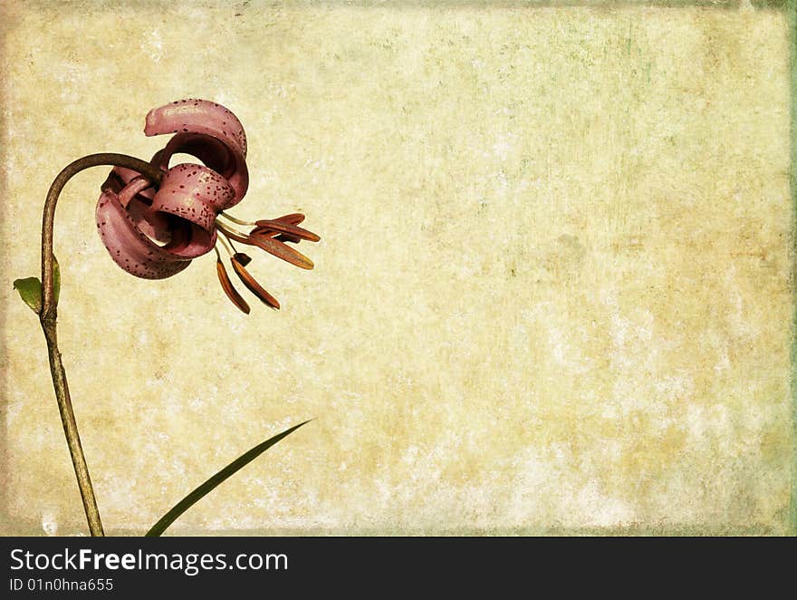 Lovely background image with floral elements. useful design element.