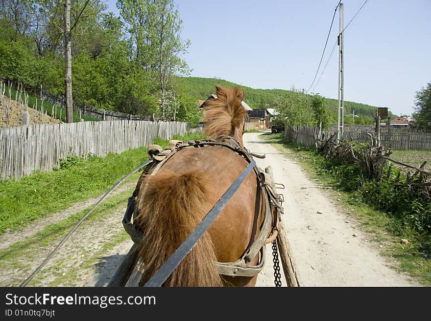 Horse and gig on country road. Summer. Horse and gig on country road. Summer.