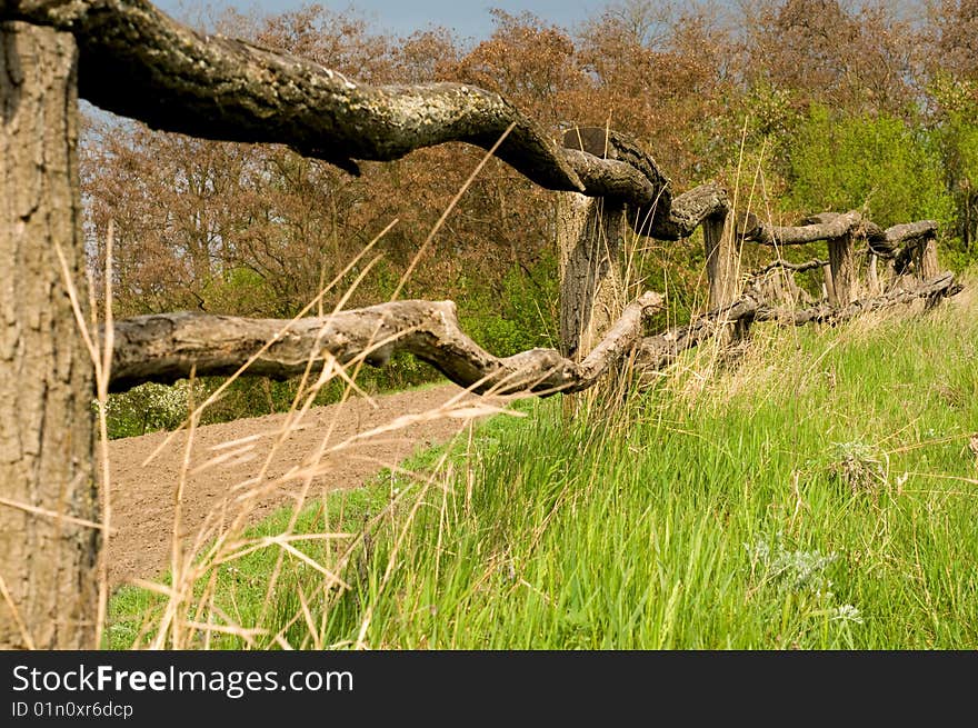 Very old wooden fence on a green field near wood