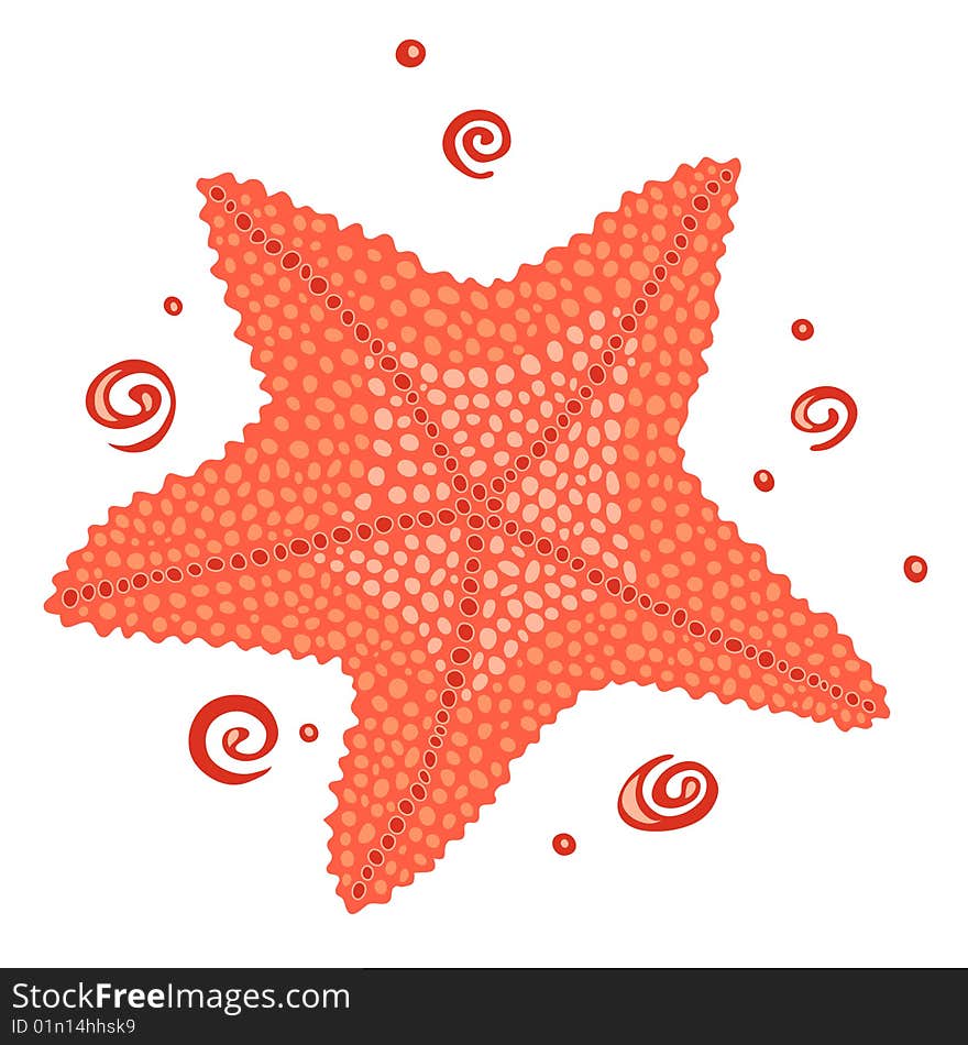 Red sea star isolated on white