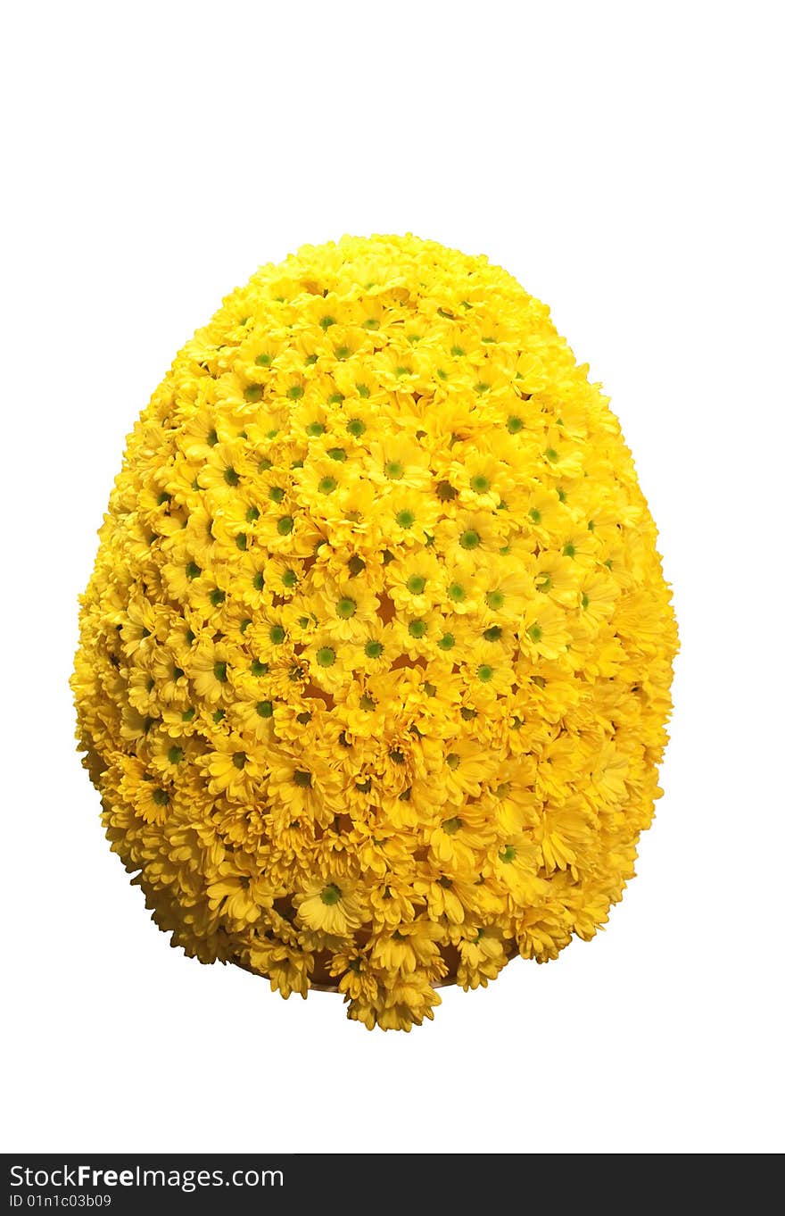 Easter egg shaped bouquet of yellow daisy blossoms isolated on white background (Asteraceae family)