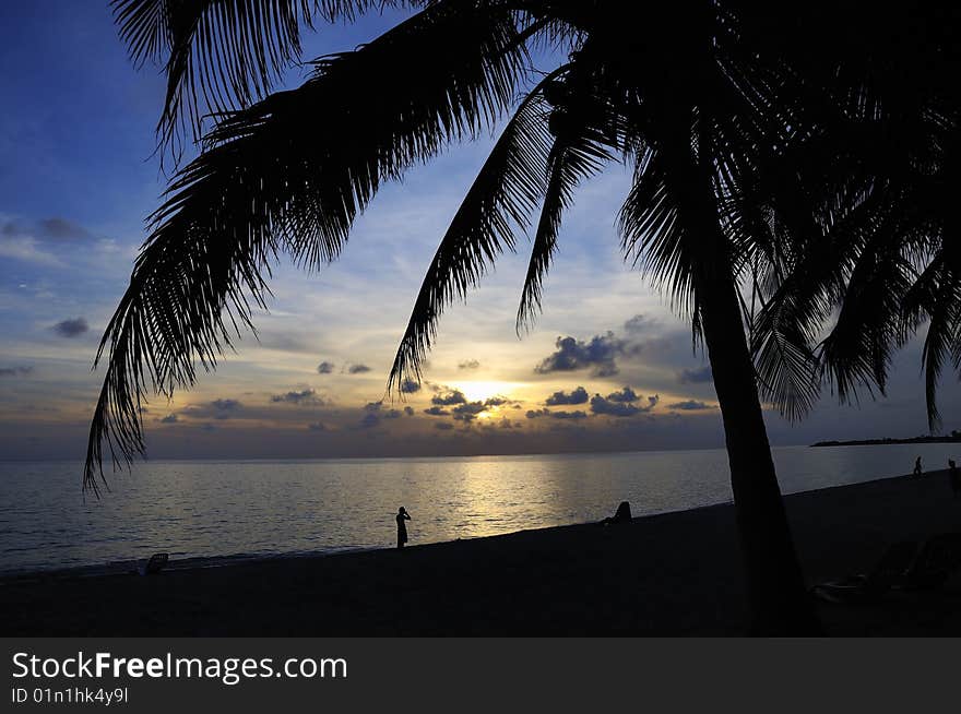 Tropical beach at sunset