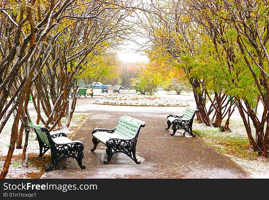 Park bench covered with snow