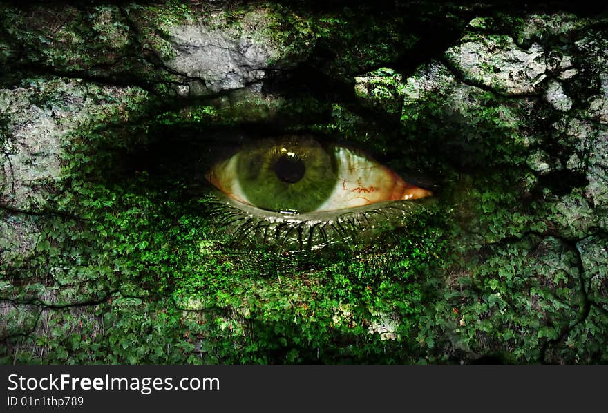 Art eye, textured with stone and leafs