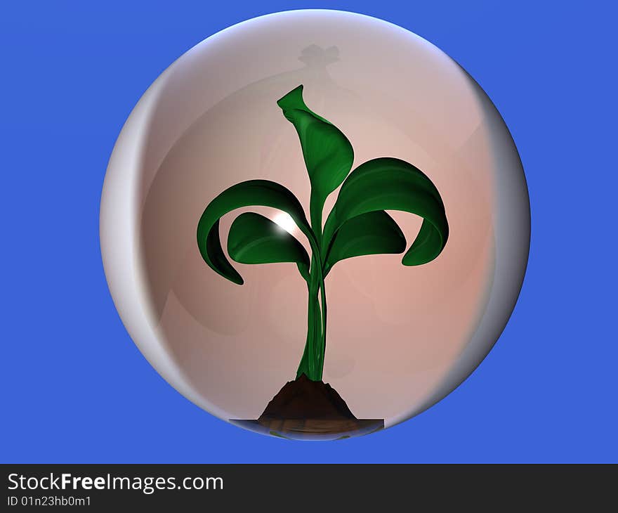 Young green plant into a glass sphere. Young green plant into a glass sphere