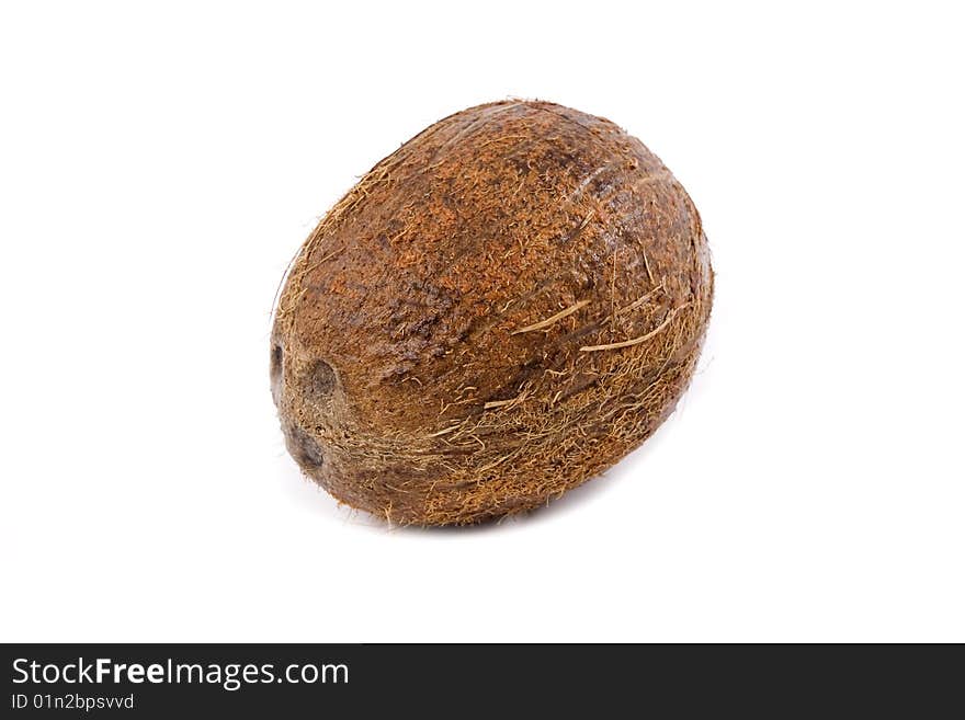 Coconut