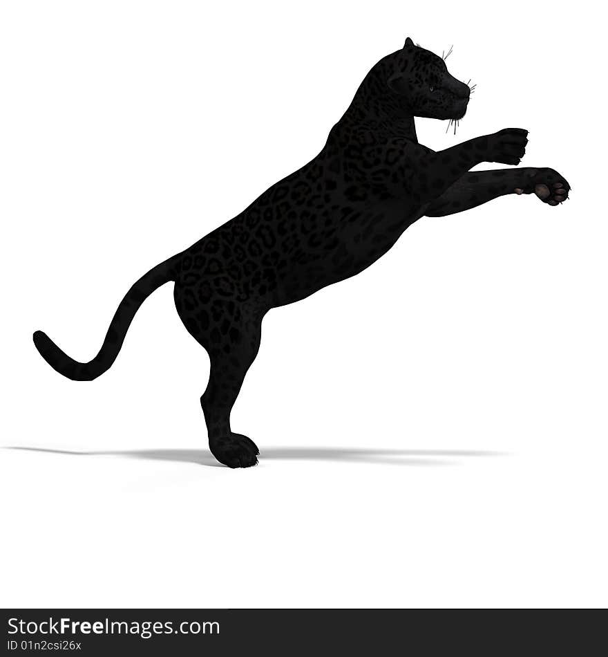 Dangerous Big Cat Black Jaguar With Clipping Path Over White