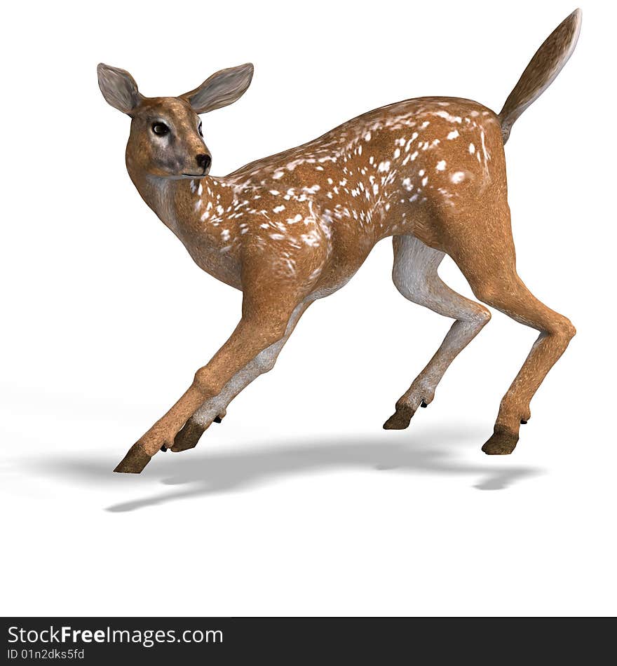 Young doe or fawn With Clipping Path and shadow