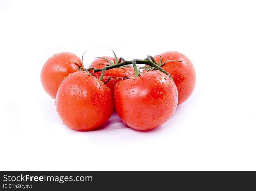 Red tomato on the white background