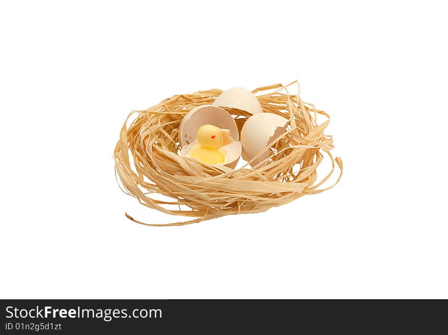 Chick in the nest on a white background