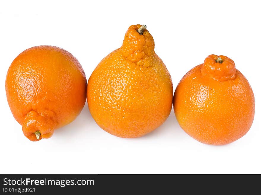 Vegetarian  background with   group of ripe  isolated orange