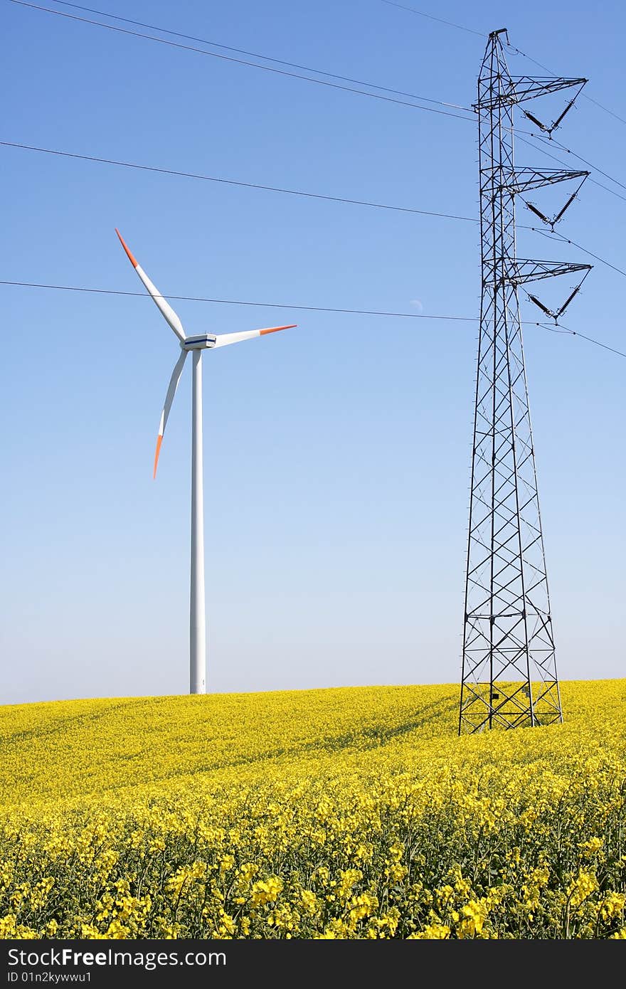 Wind Turbine and Yellow Rapeseed