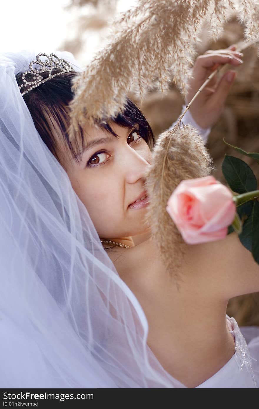 Pretty bride with rose and reed