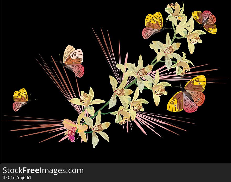 Illustration with butterflies and yellow ochids on black background