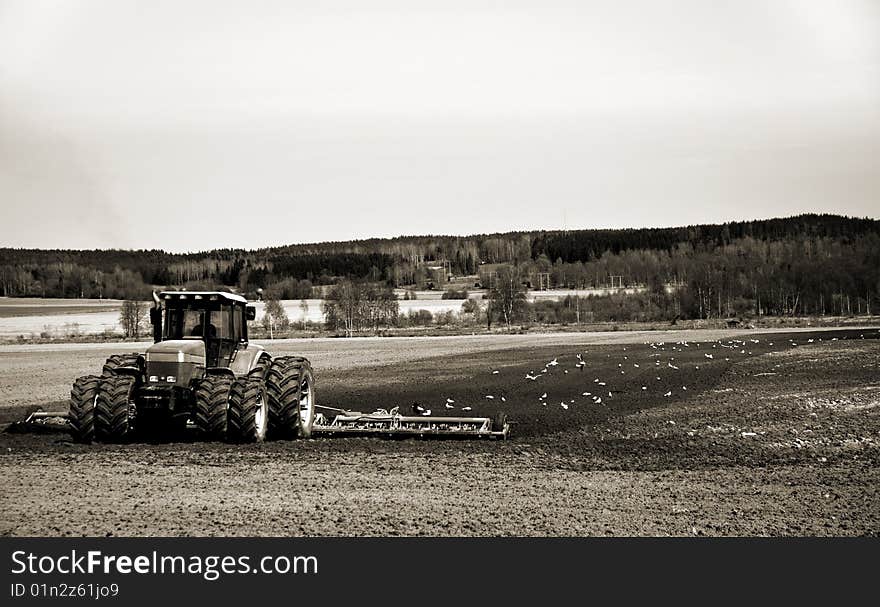 Traktor plöjer och måsarna följande. Traktor plöjer och måsarna följande.