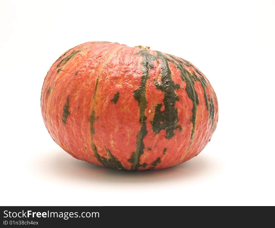 Pumpkin
photography studio white background