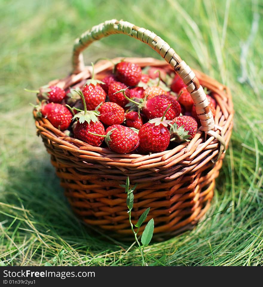 Strawberry in a basket on a grass.