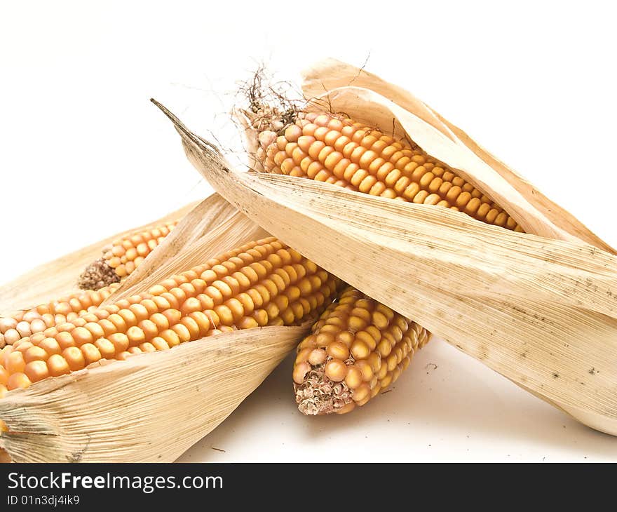 Corn cob
photography studio white background