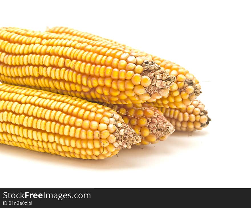 Corn cob
photography studio white background