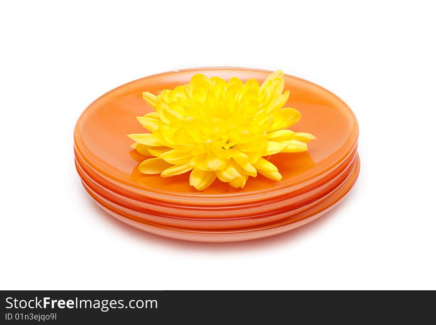 Orange plates by pile, yellow flower on them, on white background