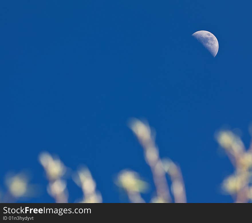 Shot of moon. Spring day. Europe