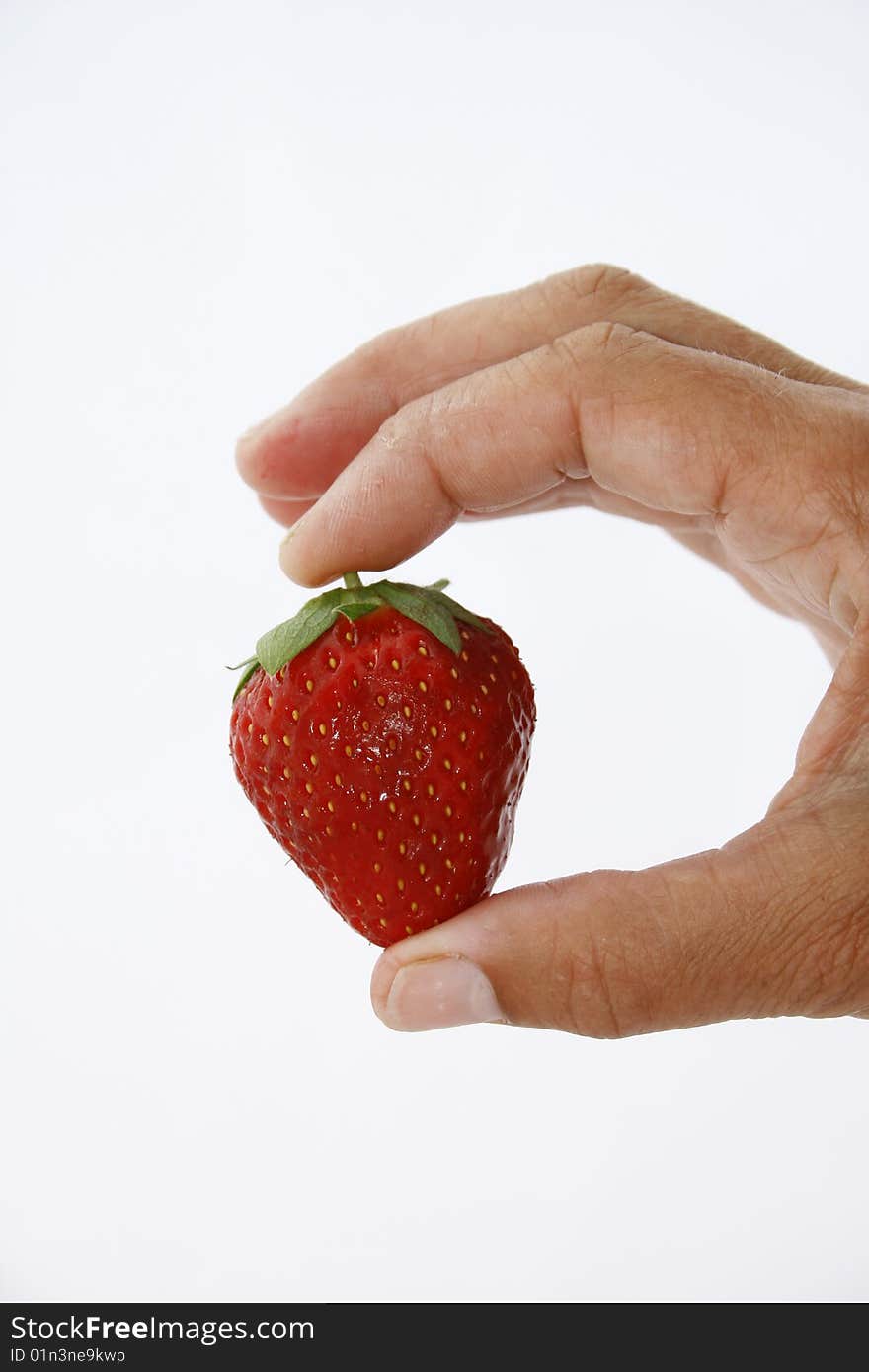 A fresh picked strawberry in the hand