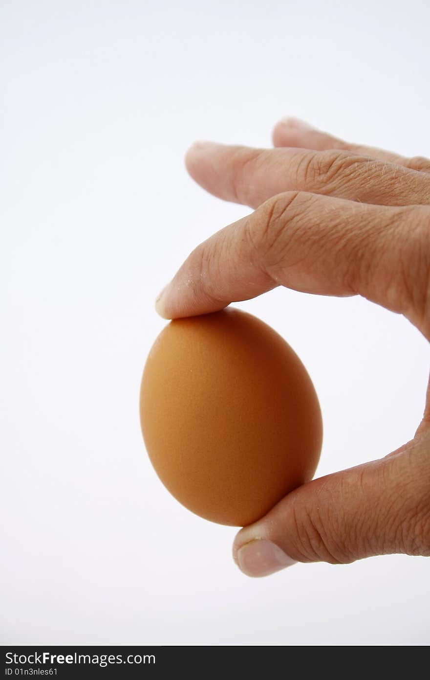 A brown egg in a hand. A brown egg in a hand