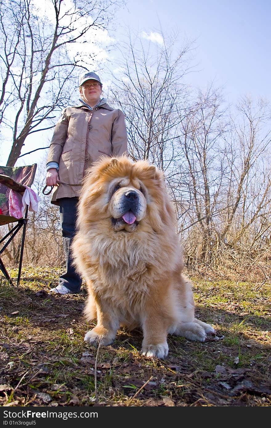 Woman and chow-chow