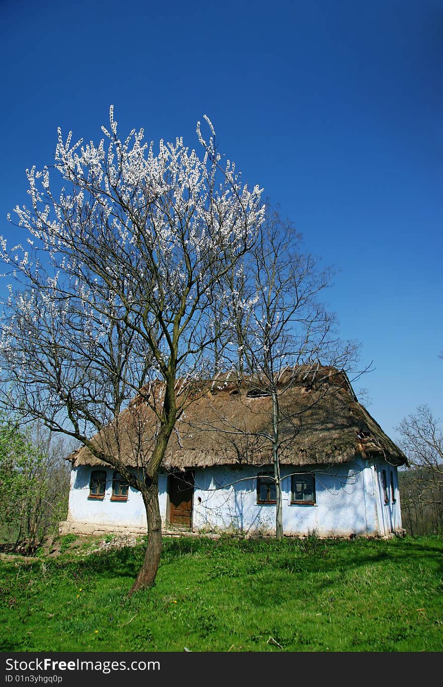 The old destroyed rural house with a straw roof. The old destroyed rural house with a straw roof