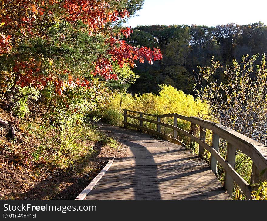 Autumn Path