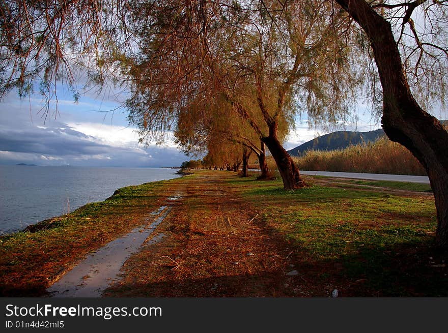 Path beside sea