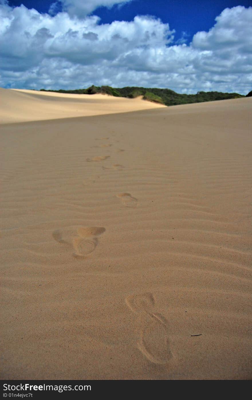 Footprints on the sand dune. Footprints on the sand dune