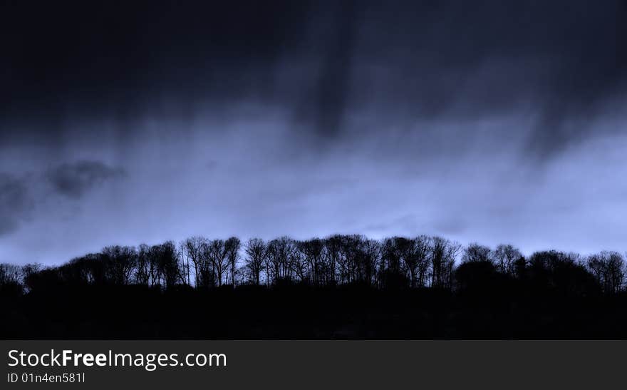 Silhouetted tree against the sky after storm. Silhouetted tree against the sky after storm