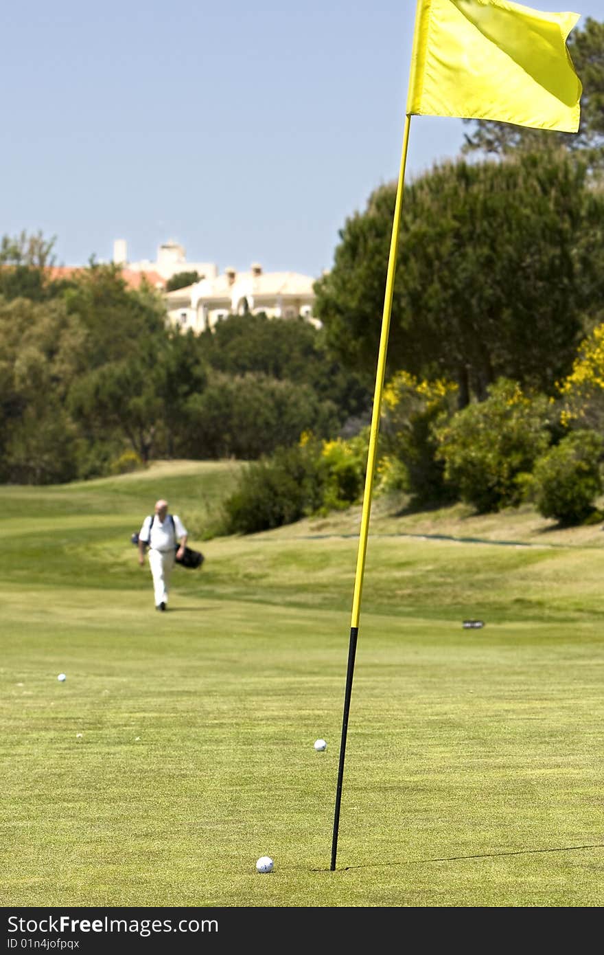 Green golf field showing the hole and the flag